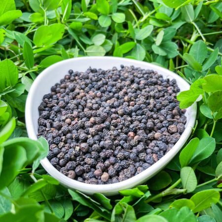 Premium Fresh Spices - Esla Spices