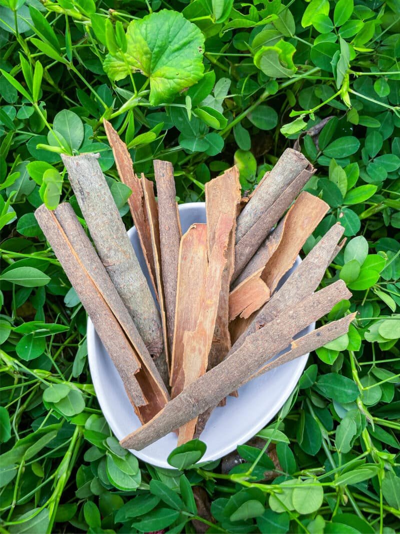 Premium Fresh Spices - Esla Spices